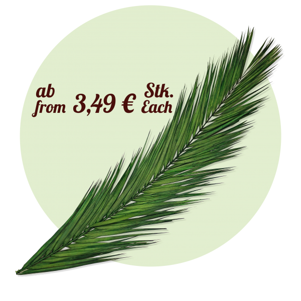 Palm leaf